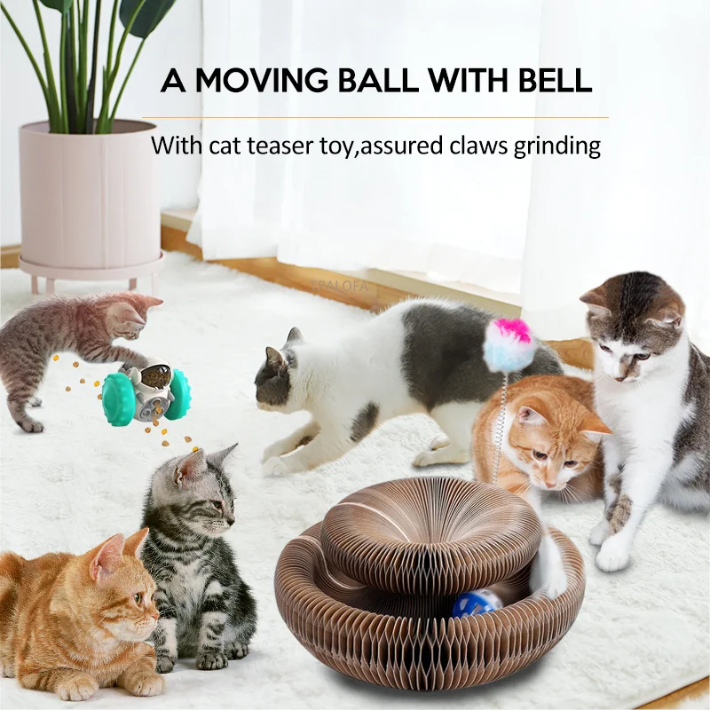 Cat Scratch Board Magic Organ Cat Scratching Board Cat Toys With Catnip Ball Durable Cats Grinding Claw Post Cat Accessories