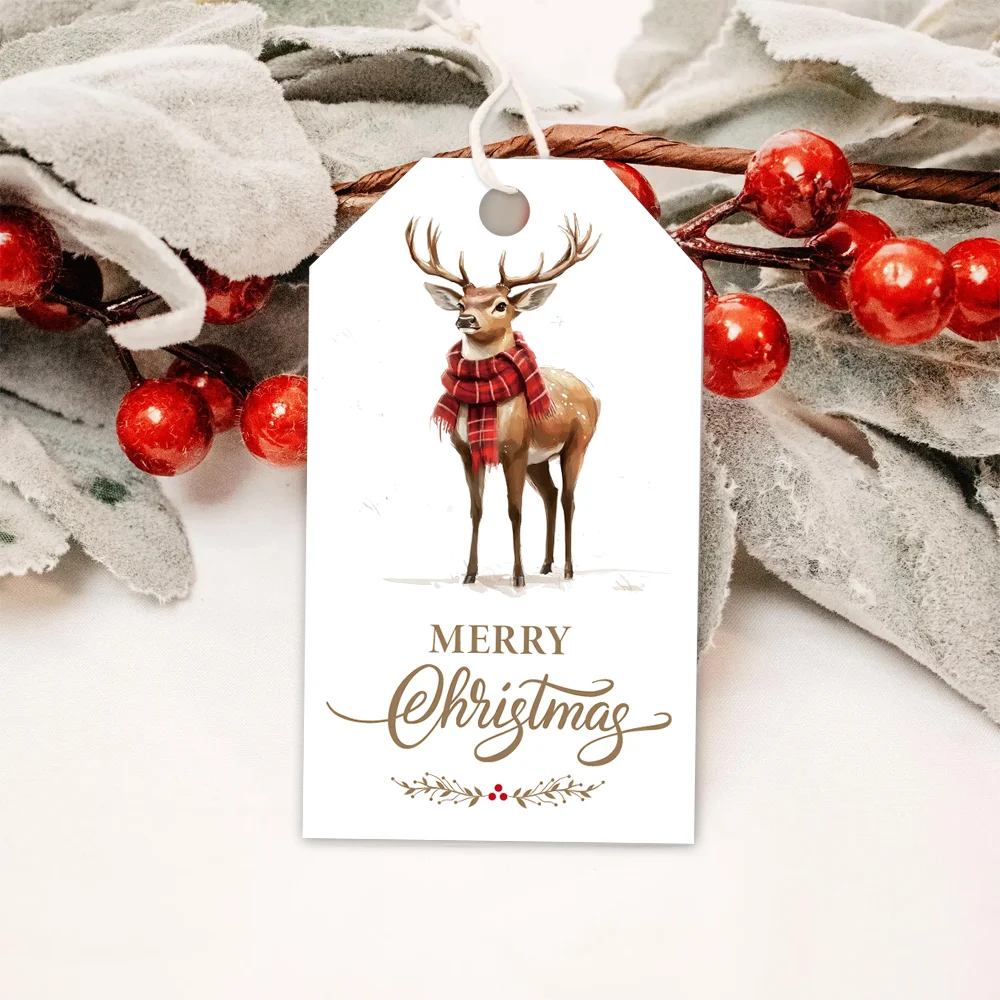 40個、クリスマスタグ、ギフトラベル、パーティーデコレーション、DIYカード、ホリデーホームデコレーション、グリーティングカード、パーティーカード、ギフト紐