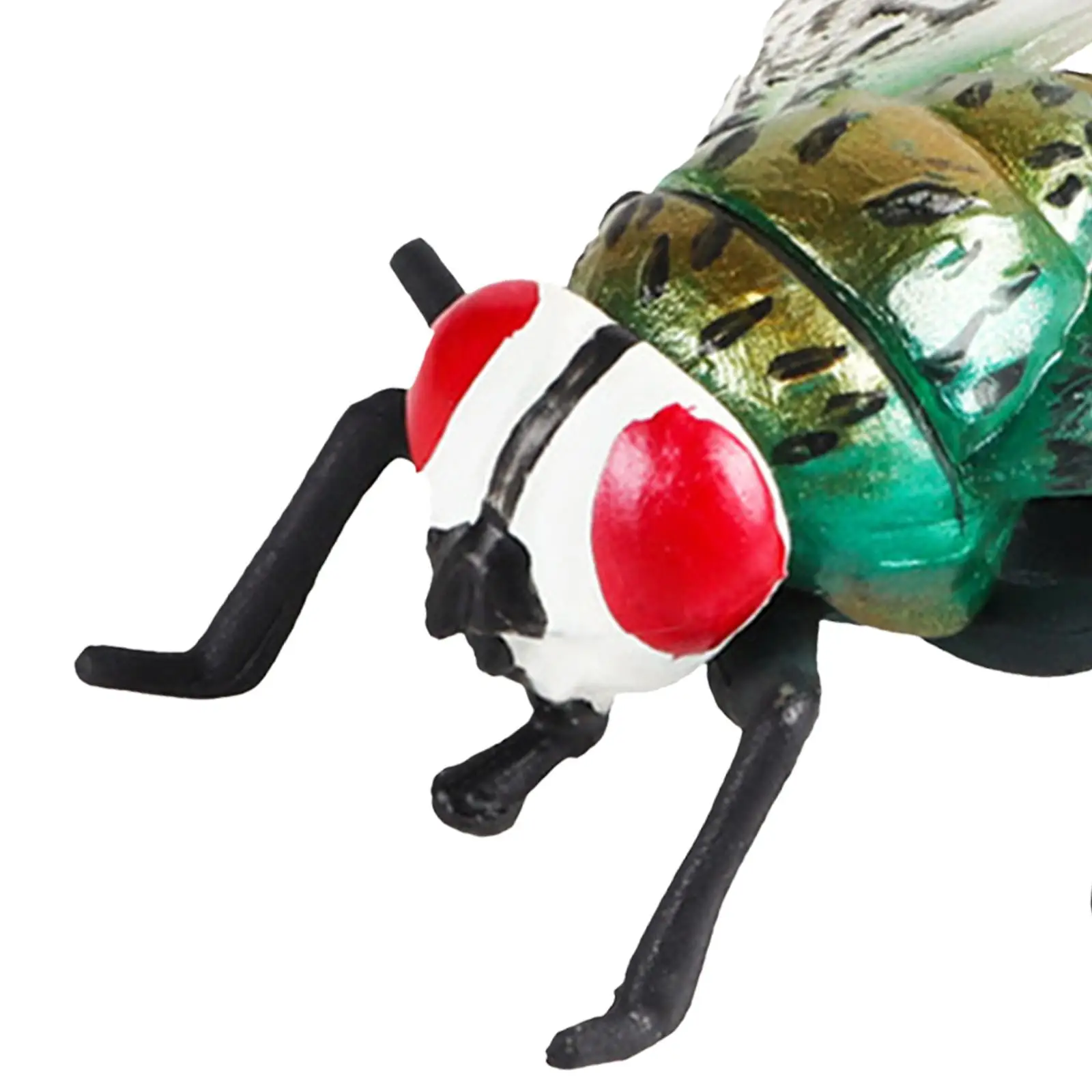 파리 장난감 소형 파리 모델 인식 교육 장난감