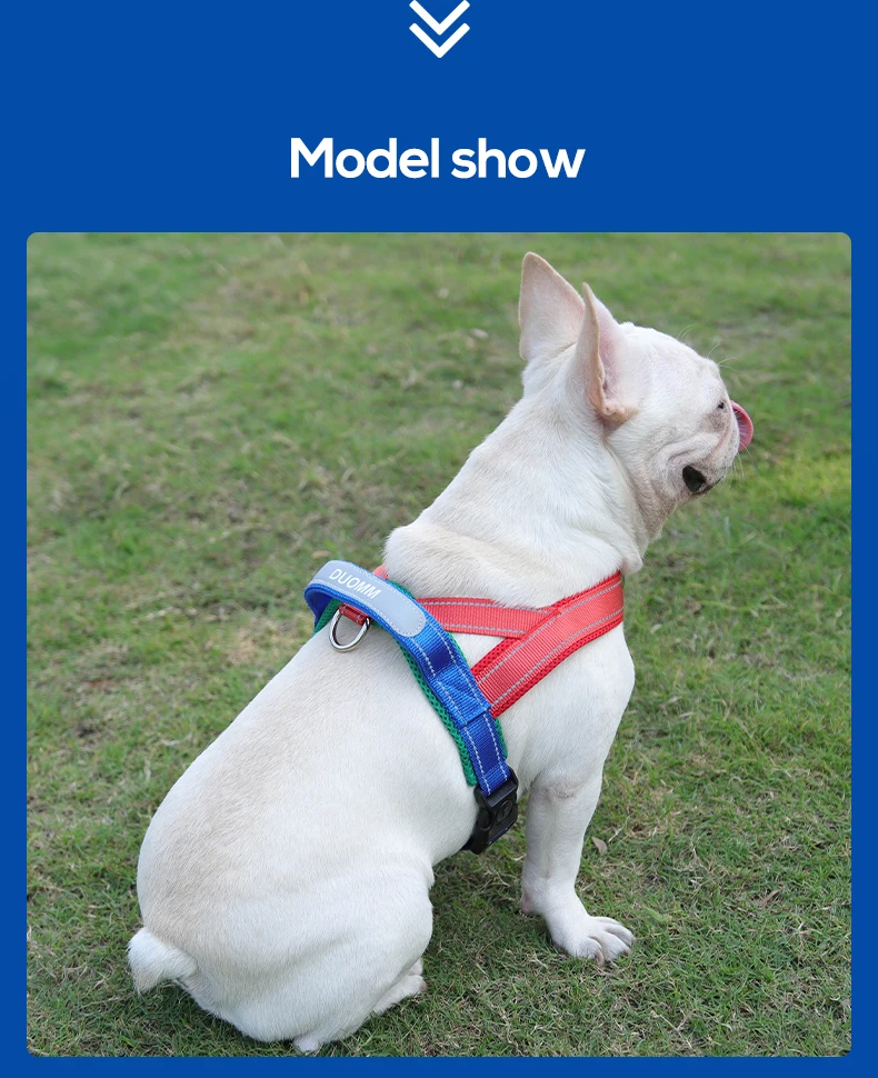 Hunde-Haustier-Brustgeschirr, breites Gurtband, zweifarbig, kontrastierend, vier Seadon-Hundegeschirr, Nylongriff, Outdoor-Hundegeschirr, reflektierend – Detail 14