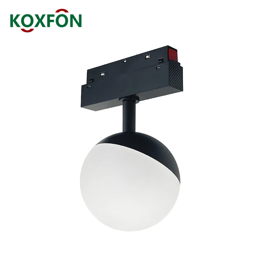 Magnetic Track Light Ball Lamp Modern No Main Light System Module 48V Dali Light Dimmable Tuya Zigbee Smart LED Magnet Lighting