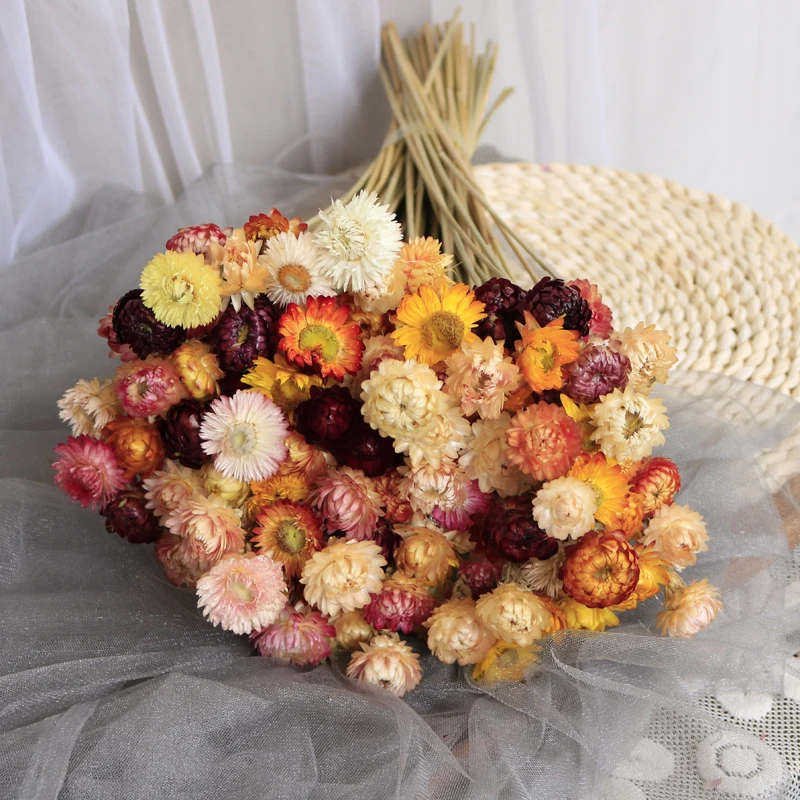 Natural Chrysanthemum Dry Flower for Wedding Centerpieces Daisy Dried Flower Bridal Bouquet Home Decor DIY Material Accessories