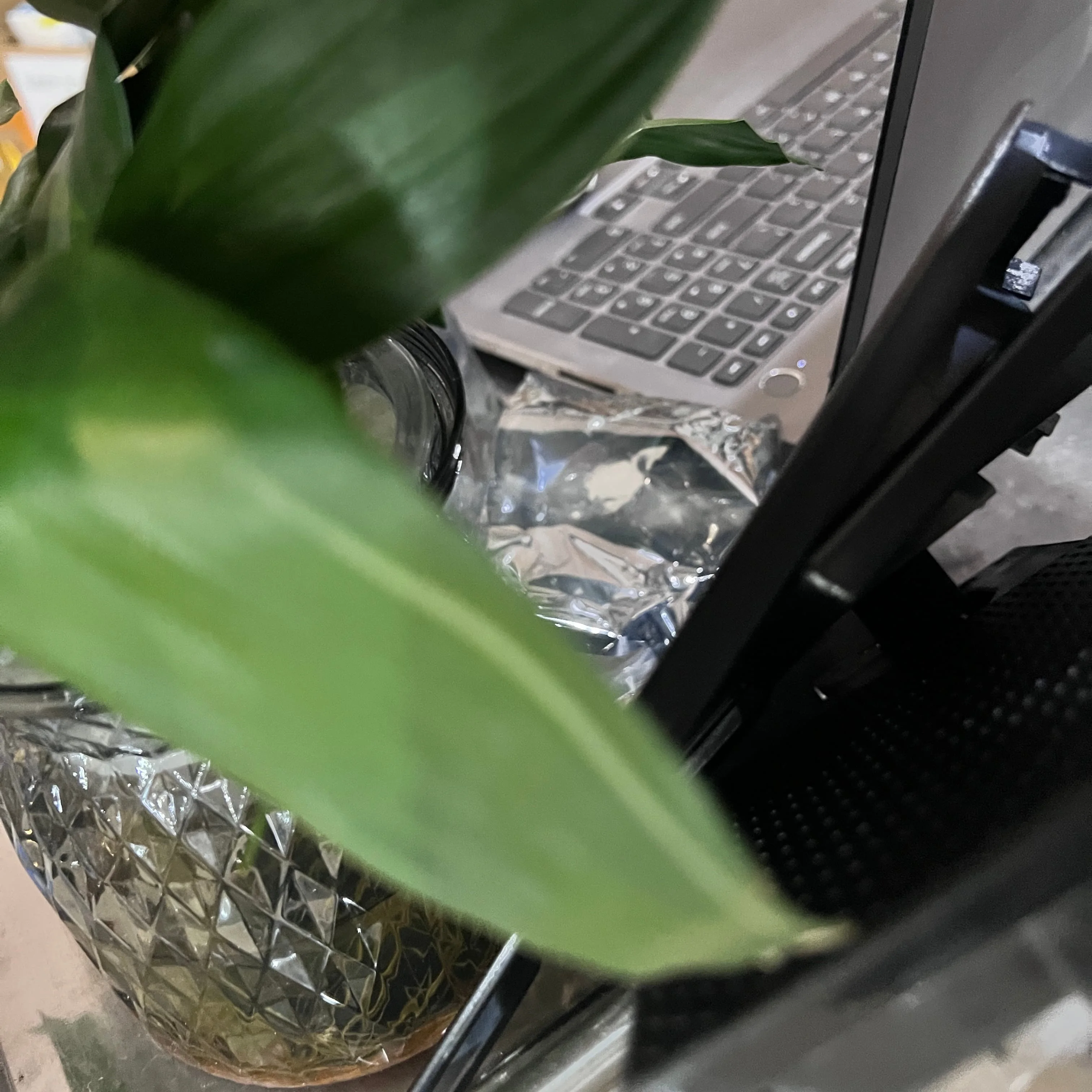 

5X RM1-7498-000CN RC2-9441-000 Выходной лоток подачи бумаги для HP LaserJet Pro CP1525 M1536 P1566 P1606 M1536dnf P1606dn CP1525n