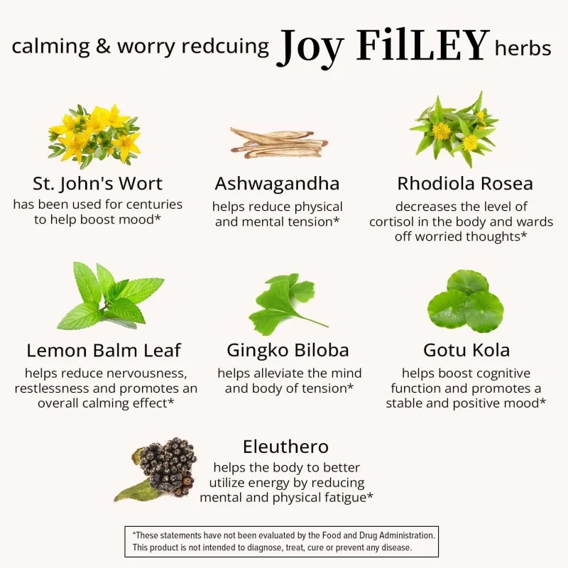 Patchs transdermiques sans OGM Joy-Filatteignà base de plantes, 30 patchs pour instituts d'anlande et de dépression, Ashwagandha biologique et Ginkgo