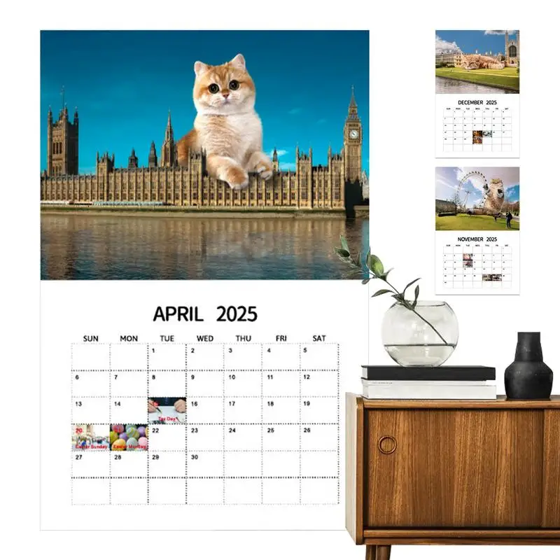 Fun Cats Wall Calendar 2025 Interesting Urban Big Cat 2025 Calendar 12 Month Hangings Cats Rule The Earth Family Planner