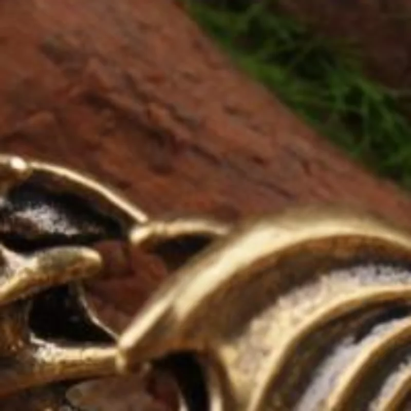 Pterosaur Brass Ornament Little Flying Dragon Statue Tea Pet Desktop Small Ornament Figurine