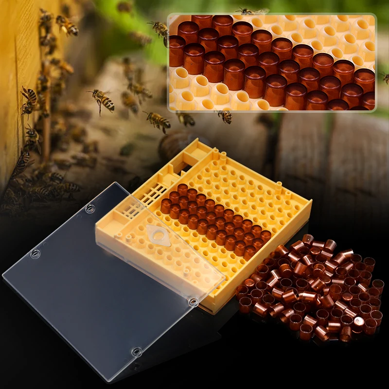 Beekeeping Bee Queen Rearing Cell Cup Box Kit Plastic Honeycombs Queen Bee Cage Isolation Apiculture Equipment