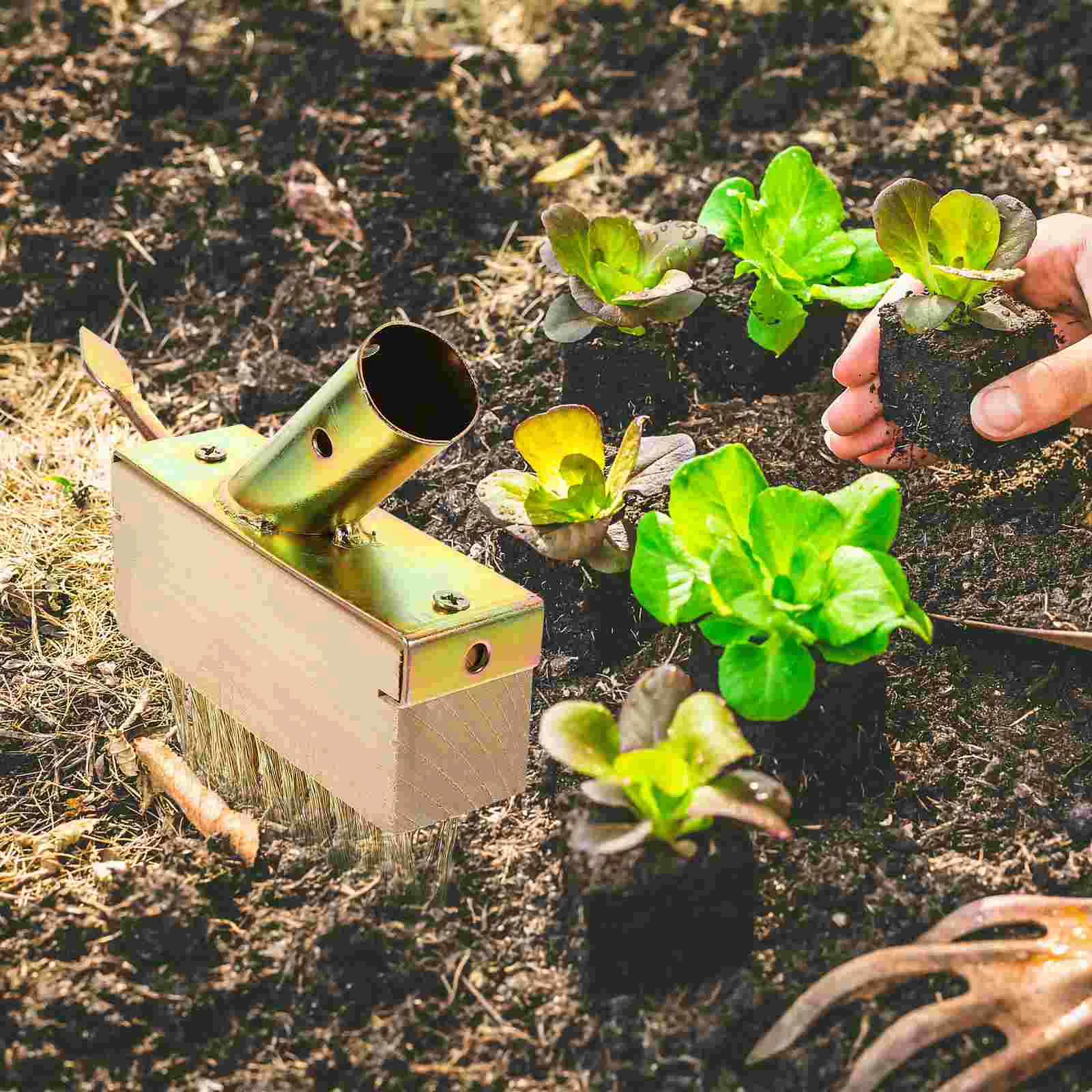 2 pezzi Sarchiatore Spazzola per diserbo Frusta Scopa Prato Strumento da giardinaggio in bambù Dispositivo di rimozione filo di acciaio