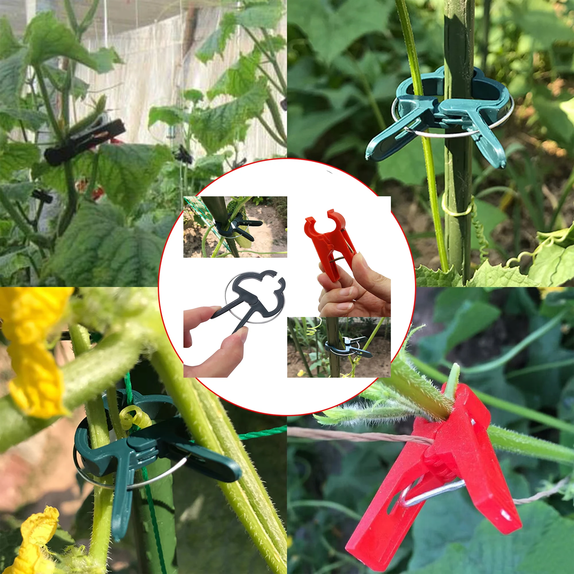 2-шт-зажим-для-садовых-растений-зажим-для-поддержки-помидоров-зажим-для-виноградной-лозы-зажим-для-пересадки-виноградной-лозы-зажим-для-бамбукового-ворса-восхождение-растения-виноград