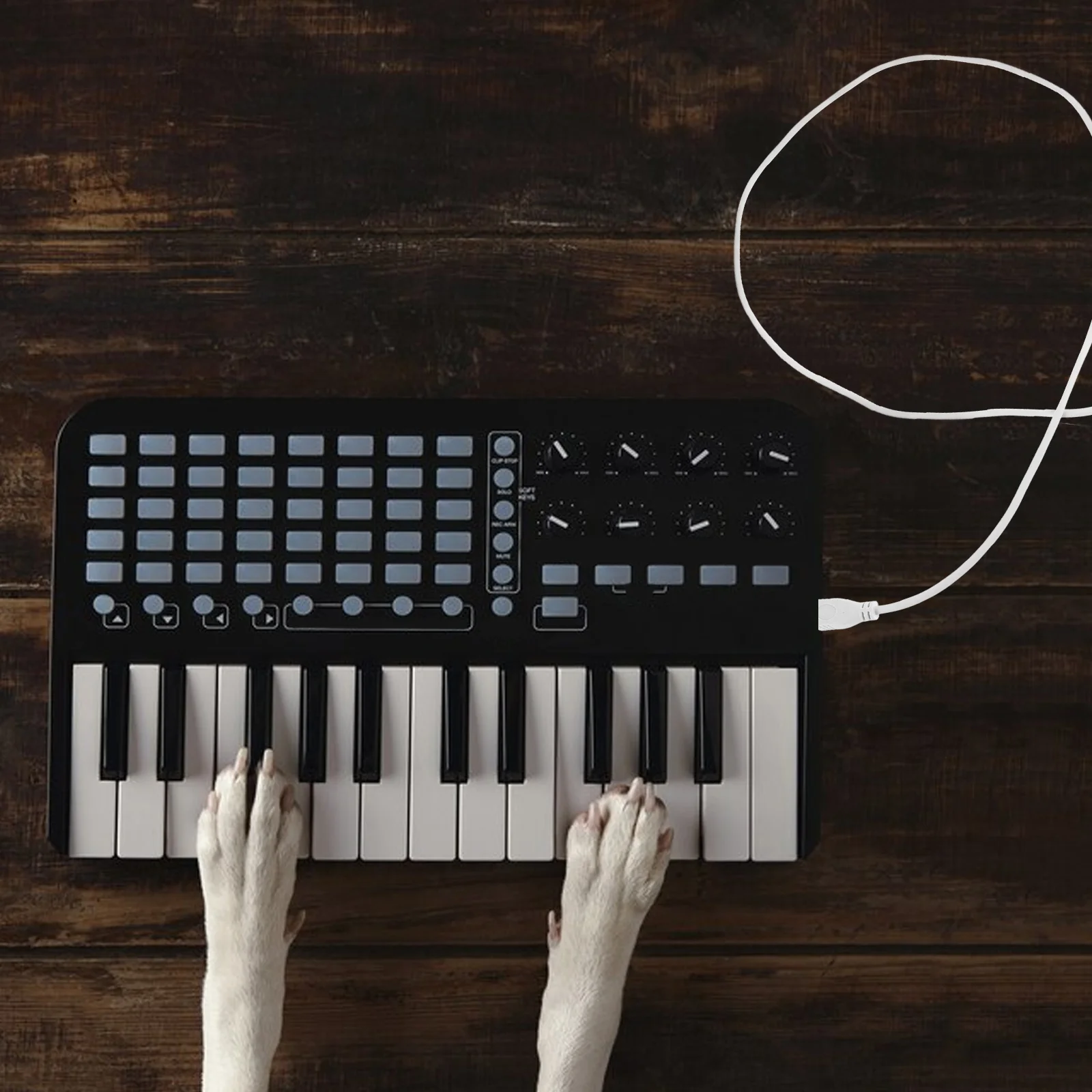 

TYPE- Cable Midi for Audio Equipment Long Controller Interface Cables