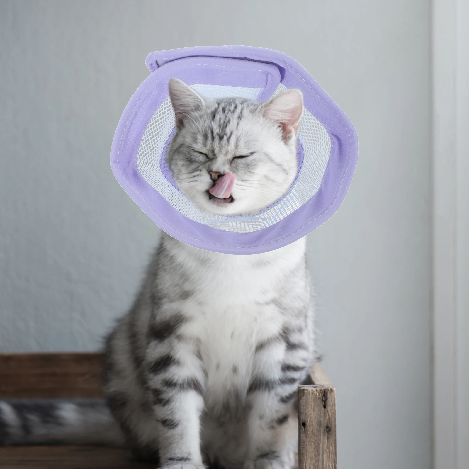

PVC Cone Collar for Cats Cartoon Designed Pet Supply after Surgery Cat Neck Collars AntiBite Breathable Dog Accessories
