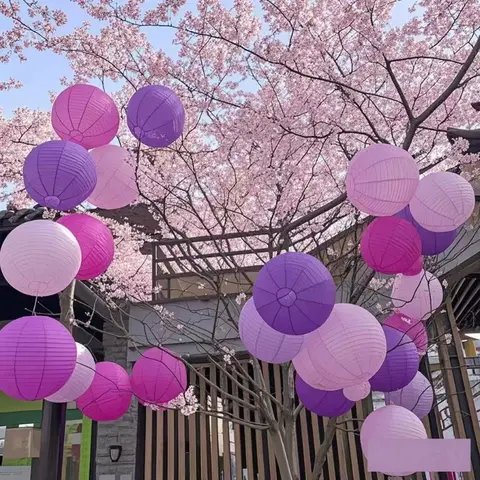 10cm~40cm Purple Series DIY Handmade Painting Chinese Paper Lantern Ball Wedding Christmas Party Round Paper Lantern Decorations