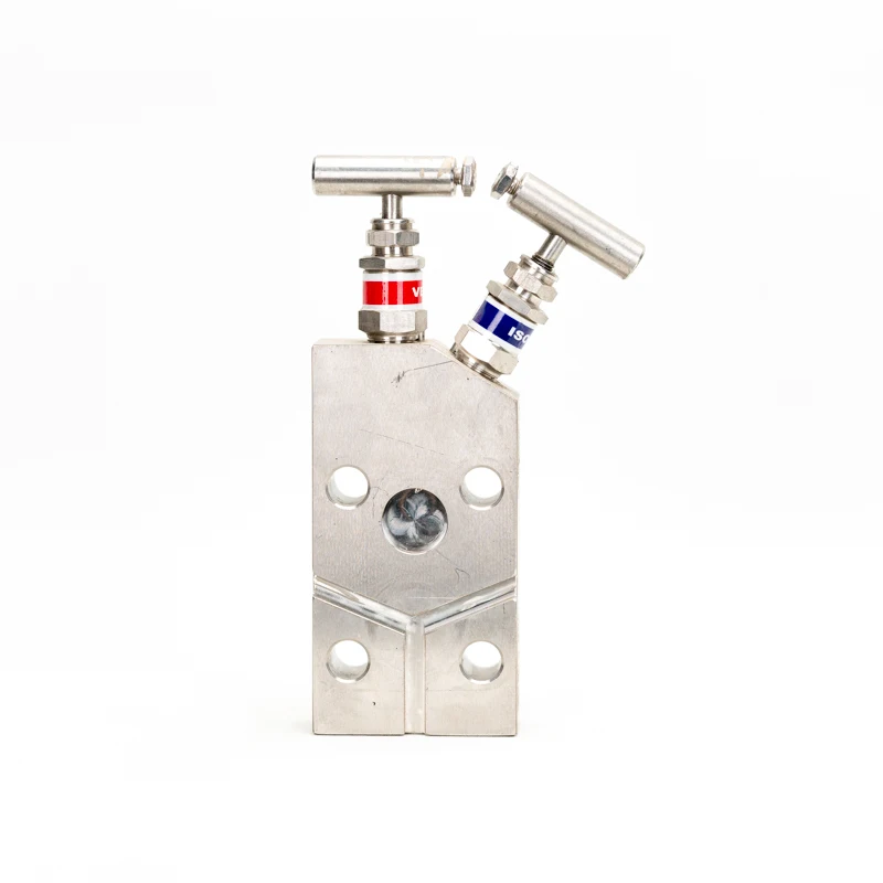 Vendita calda integrato a due valvole Gruppo 304 Trasmettitore EJA in acciaio inossidabile Trasmettitore Rosemount Parti e accessori per strumenti