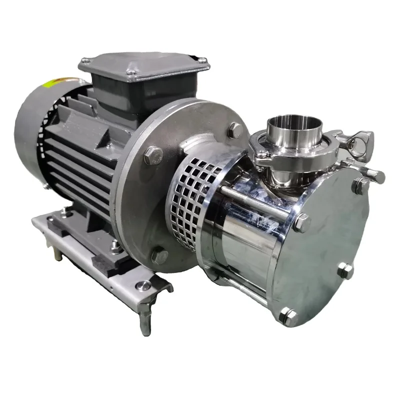 1.5KW High Viscosity Ketchup Stainless Steel Positive Displacement Pump Sanitary Flexible Impeller Rotor Pump