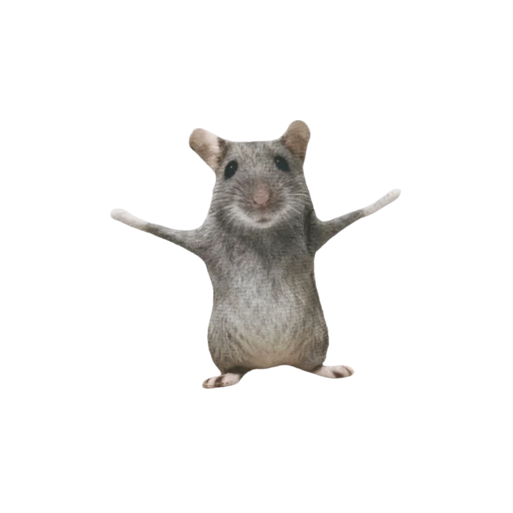 Internet-Meme-Simulation Meme-Schlüsselanhänger Lustiger Kreativer Maus-Schlüsselanhänger Plüsch Mini-Streich-Taschendekoration – Detail 4