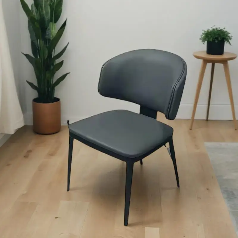 Sedia per il trucco Mobili per la casa Sedie per hotel Cucina morbida Camera da letto Bar Caffè leggero Avanzato Outdoor Silla Cocina Giardino Terrazza