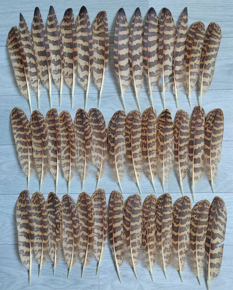 

Набор из 40 натуральных орлиных перьев, длина 8–10 дюймов, 20–25 см, украшение для выступления на сцене, редкие перья