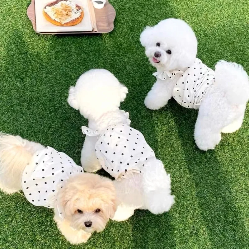 Fashion Pet Dog Dress Dot Dog Clothes Summer Puppy Skirt Chihuahua Yorkie Bichon Clothing Suspender Girl Dog Costume Cat Dresses