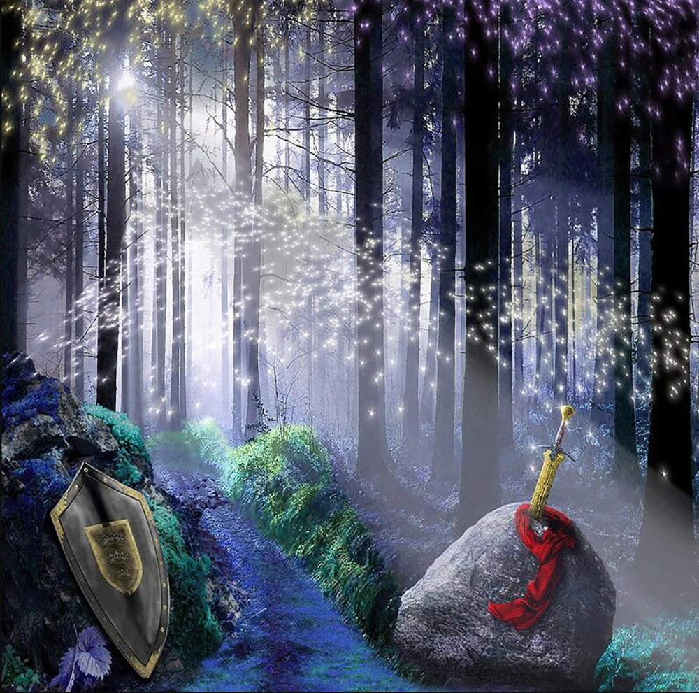 

Sword Stone King Arthur Enchanted Forest Roundtable Stage Venue backdrop party photo studio background