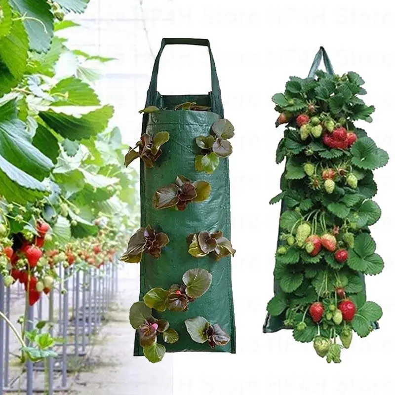 

Pockets Strawberry grow pot vertical Garden Plant Bags Planter Planting PE wall hanging Flower Potato Plants B4