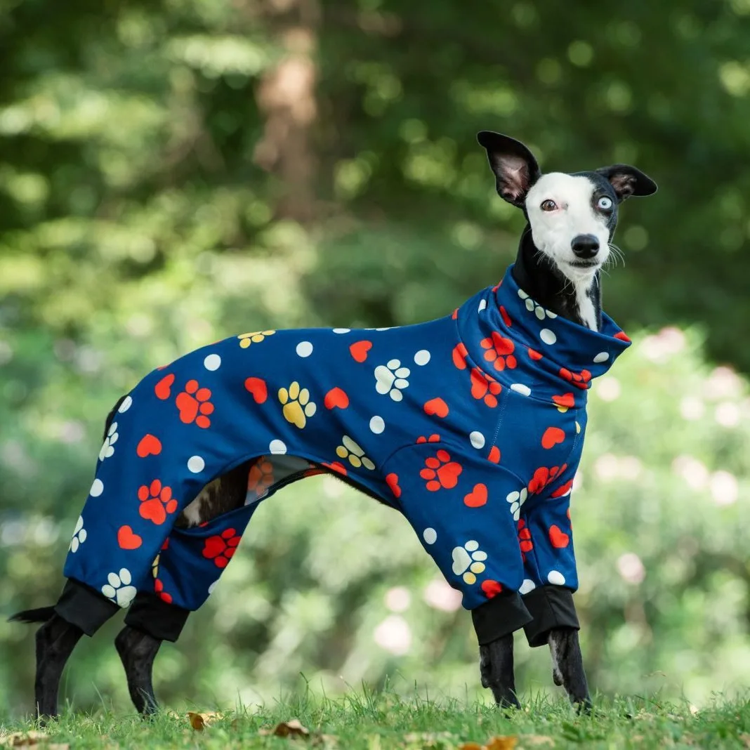 Pigiama per cani autunno inverno zampa di cane di taglia media stampata pigiama levriero tuta moda collo alto abbigliamento per animali domestici