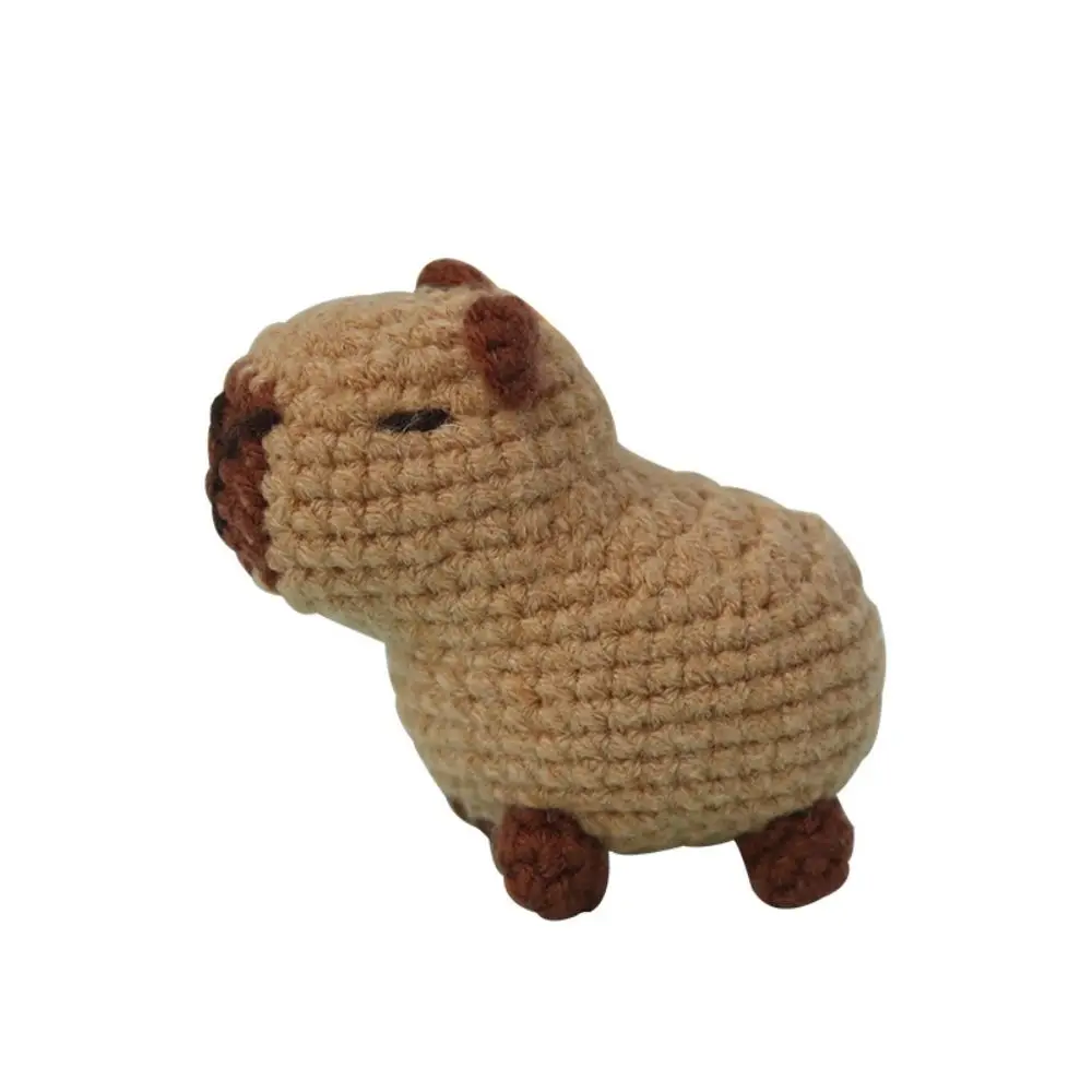 Kit di animali di peluche all'uncinetto per principianti con uncinetti Set fai da te Capybara Kit all'uncinetto fai da te cavia prodotto Non finito