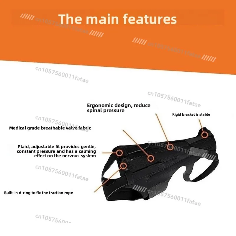 حزام العمود الفقري للحيوانات الأليفة، دعامة تثبيت خلفية للكلاب #3