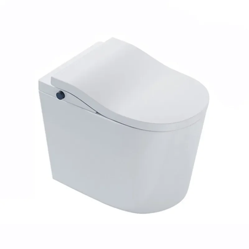 Siphon Flush Toilet for Small Apartment No Installation Needed Large Diameter Drain Household Bathroom Ceramic Commode