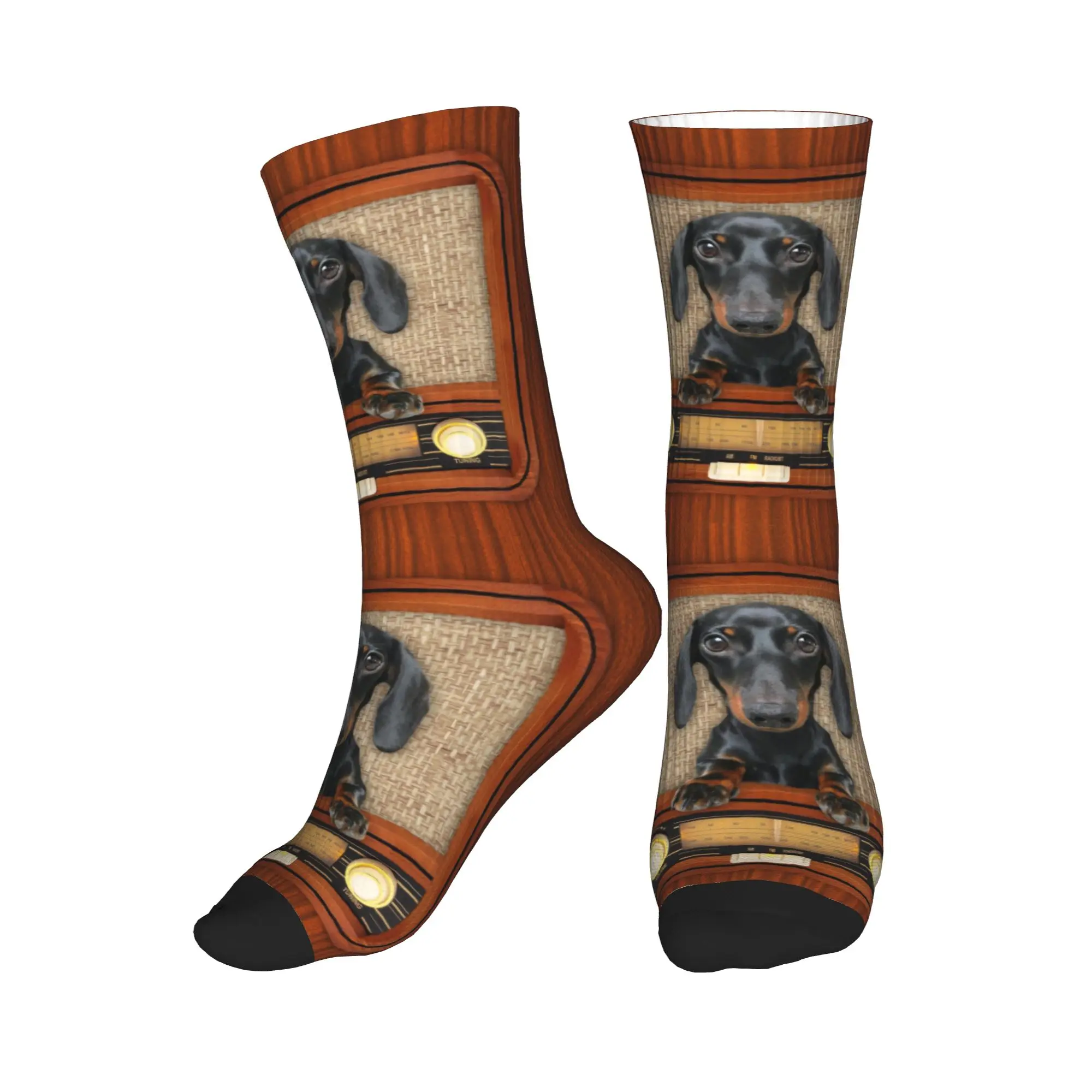 

Забавные носки с таксой на радио, мужские и женские, теплые, с 3D-печатью, с изображением барсука, сосиски, спортивные, футбольные носки