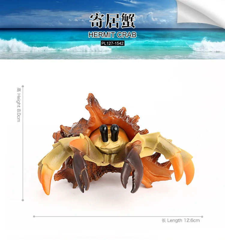 محاكاة النماذج البيولوجية لأرضية البحر البحرية حيوانات بلاستيكية صلبة، سلطعون الناسك، ألعاب السلطعون، زينة هدايا للأطفال #5