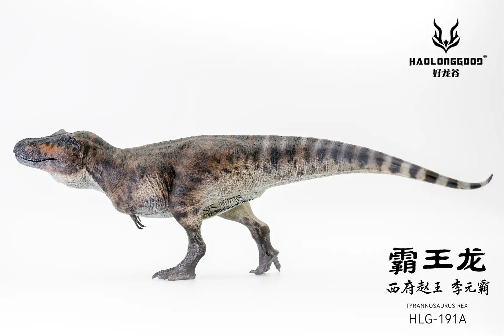 HAOLONGGOOD 1:35 Schaal Tyrannosaurus Rex 3.0 Model Dinosaurus Dier T-Rex Collectie Scène Decoratie Verjaardagscadeau Creatief GK