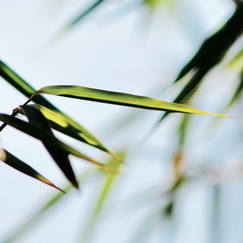 Brazo inferior de metal adecuado para coche RC de pie grande Yudi 1/16 GR M16, modificación de piezas de chasis mejorada, universal delantero y trasero