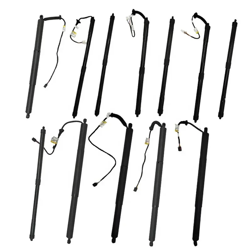 

Wholesale Smart Electric Taiate Lift Kit for Honda Ford Plastic and Metal Auto Parts Electric Taiate Covering