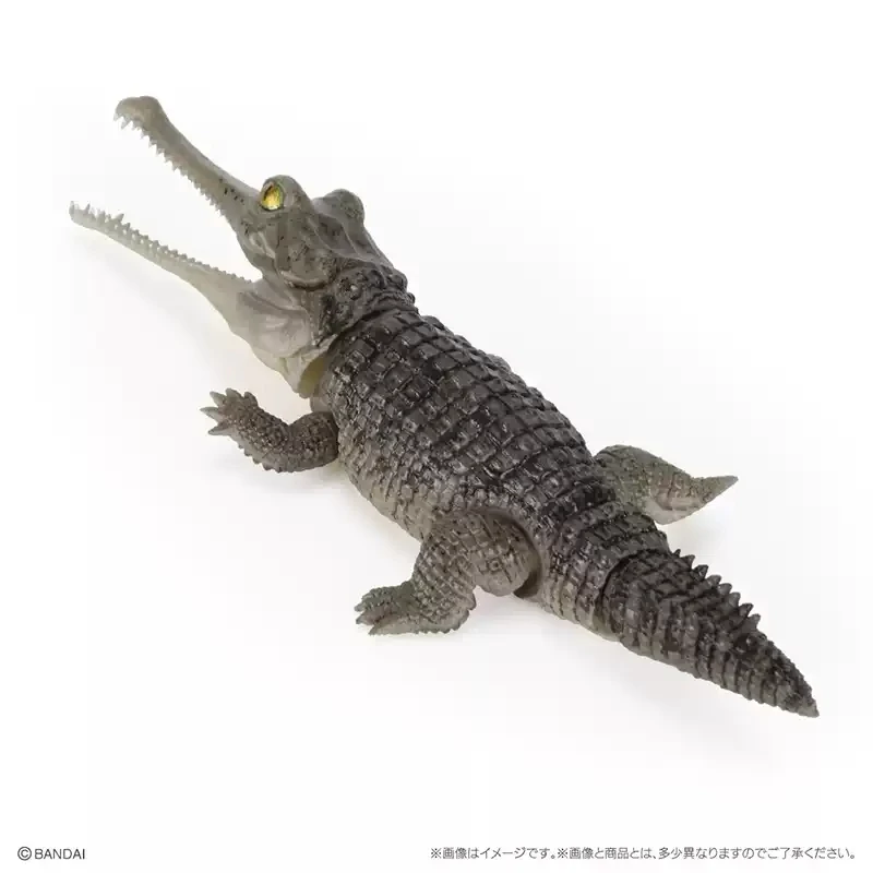 バンダイオリジナルおもちゃイケモノタイショウアドバンスクロコディラスニロティカスガリアルガチャガシャポンアニメアクションモデルフィギュアコレクション