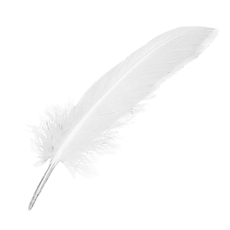 

ABP-400Pcs White Feathers Goose Craft For Party Hat Crafts Wedding Decoration 15-22Cm