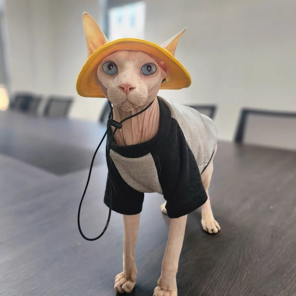 Adjustable Cotton Cat Hat for Sphynx and Small Dogs