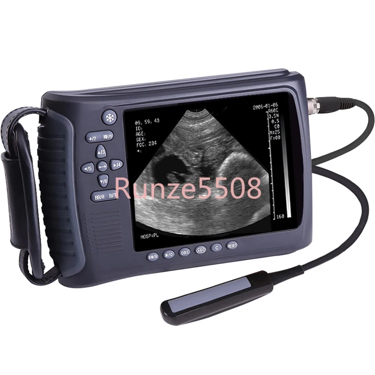 

2022 Most Popular Model Factory Price Portable Veterinary Ultrasound for Animals