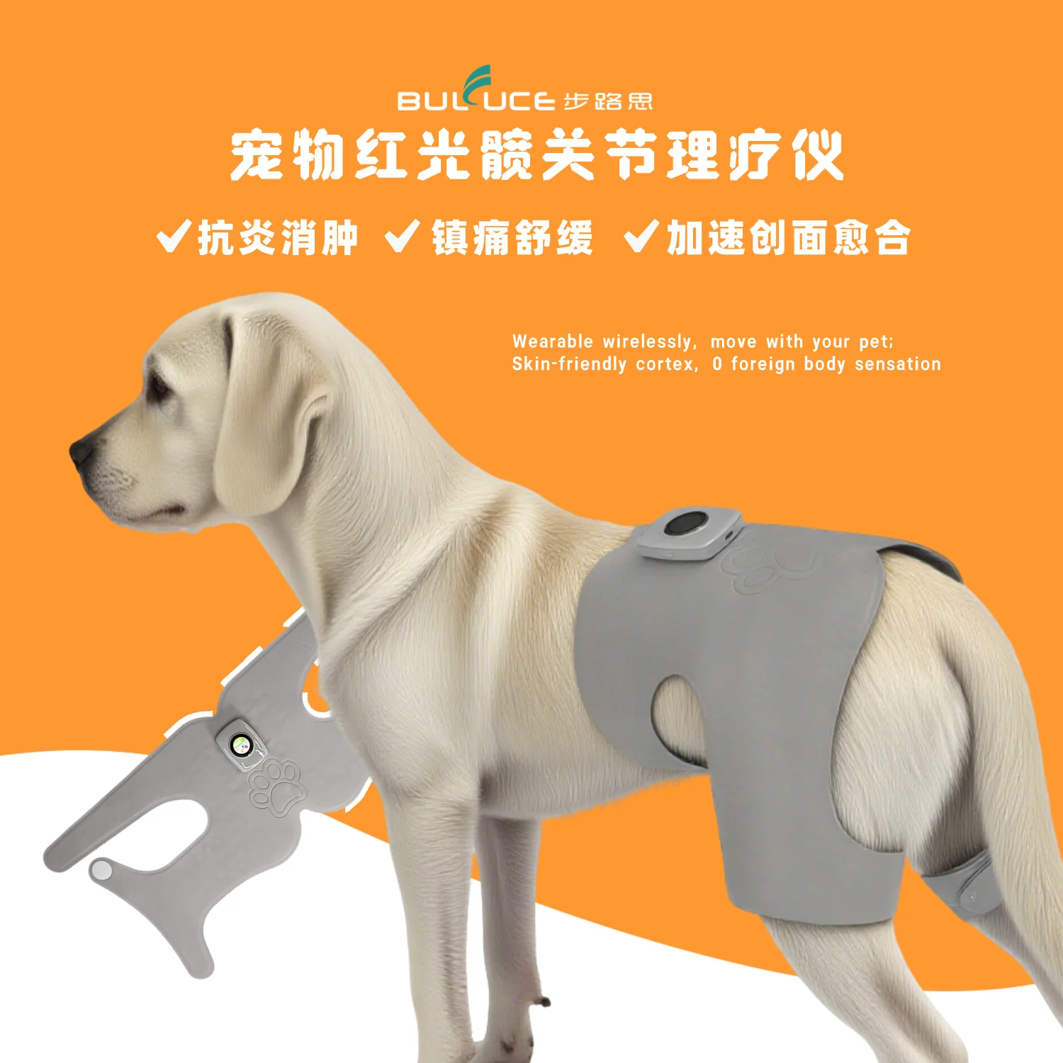 

Pet red light hip physiotherapy instrument wireless control wearing design pet health care
