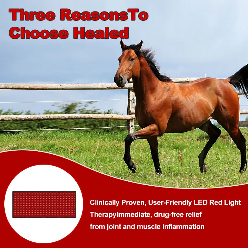 Red Light Therapy Pad Horse 660nm 850nm Animal Therapy For Equine Back
