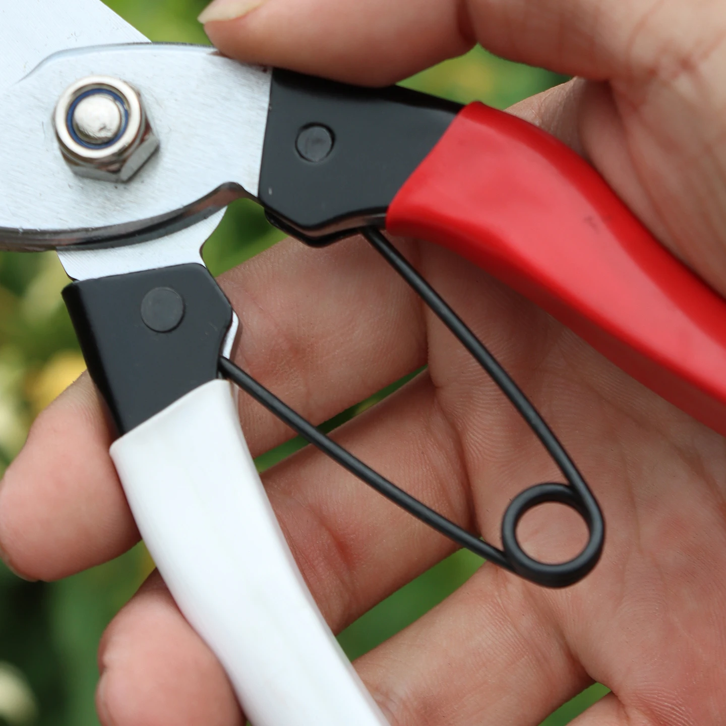 Sagawa 168L snoeischaar voor t - Gardening Tools Japanese recensie en prijs