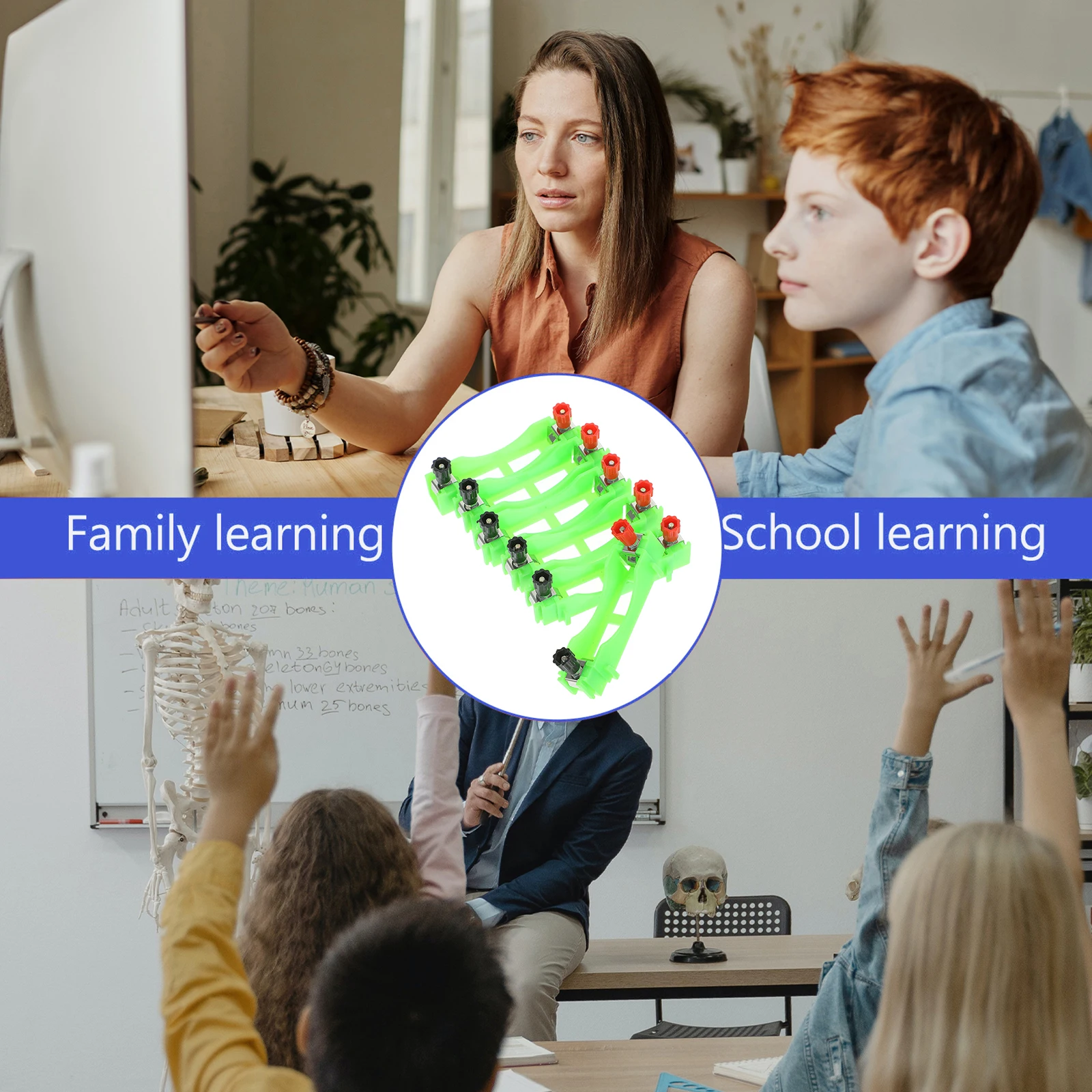 

6pcs AA Holder Case with Switch Storage Box for Physics Science Experiments Circuit Learning Student Hands-On Education