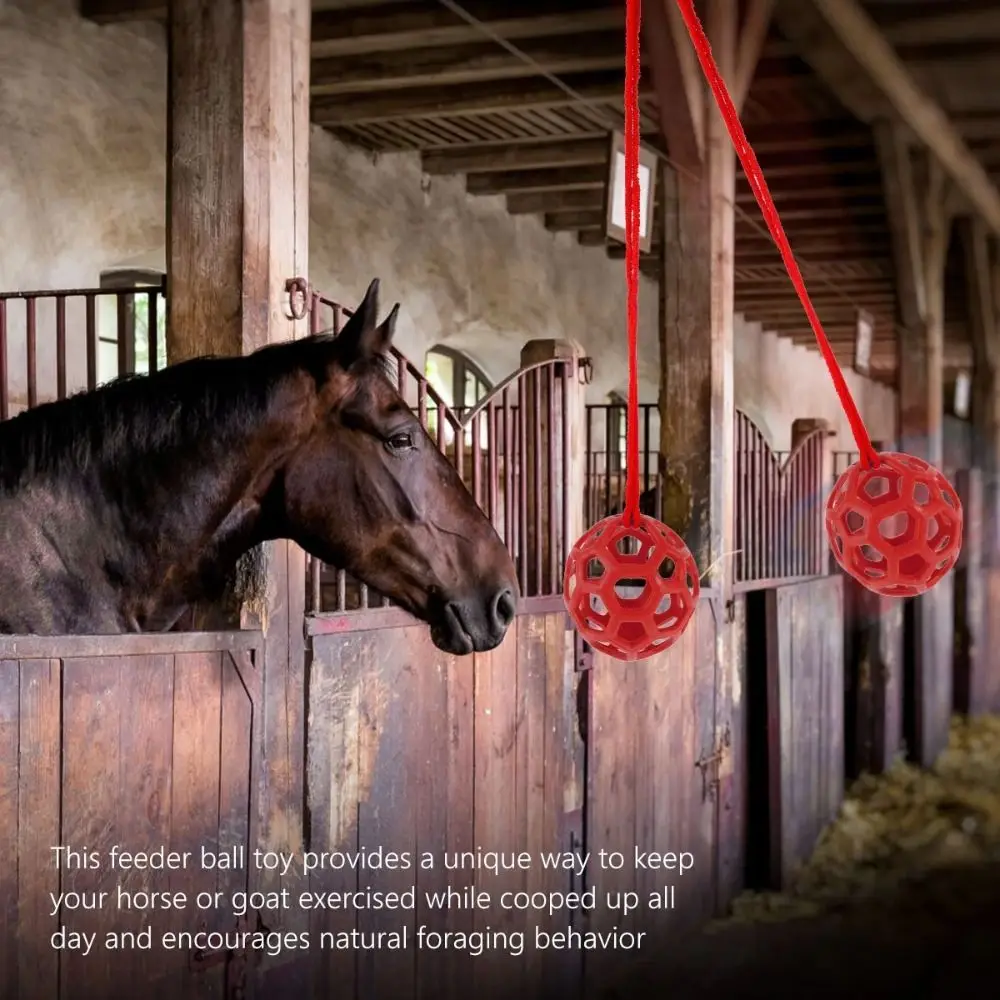 TPR Horse Treat Ball Red/Blue/Green 5.5inch Hanging Feeding Toy Circular Soft Pony Hay Feeder Horse Stable Stall Rest