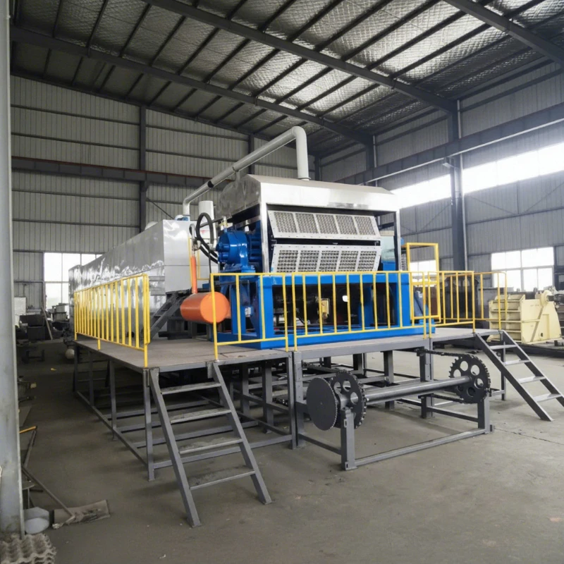 Automatic Waste Paper Pulp Molding Machine Small Scale Egg Tray Machine Making Egg Tray Manufacturing Machine Factory Price