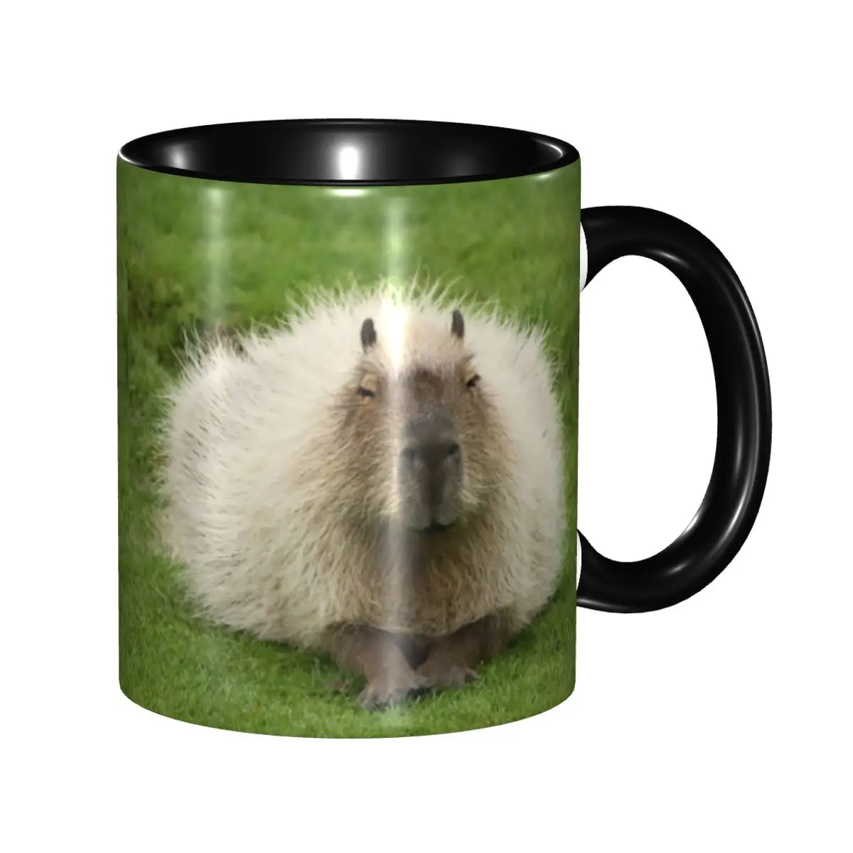 

Animal Pet Capybaras Coffee Mug DIY Custom Animal Pet Ceramic Milk Tea Mug