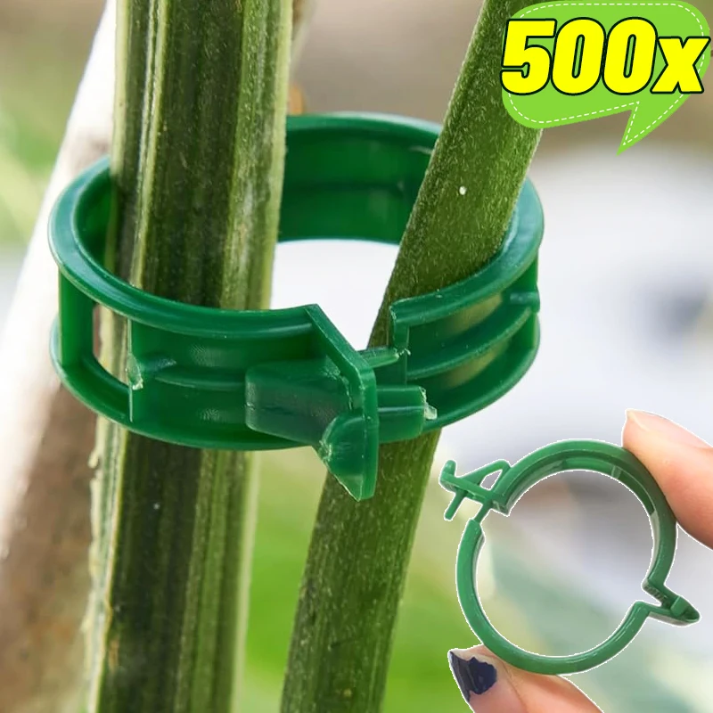 

Пластиковые зажимы для поддержки растений, садовая лоза, фиксирующий зажим для восхождения, помидор, виноград, овощи, стебли, держатели, пряжка