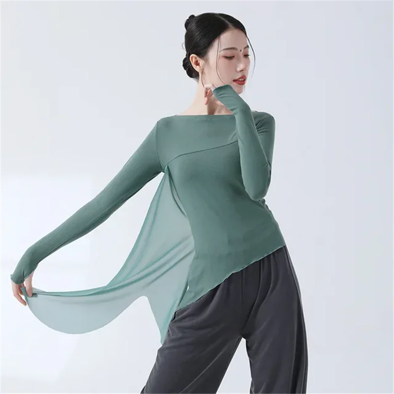 Classical Dance Practice Clothes Finger Sleeve Side Split Tulle Design Chinese Style Casual Wear Chic Stage Performance Costume