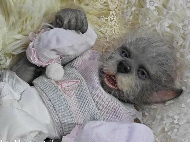 EGO 18-calowy zestaw lalek Reborn Lula Kane The Hybrid Fairy Elf niedokończone części lalki