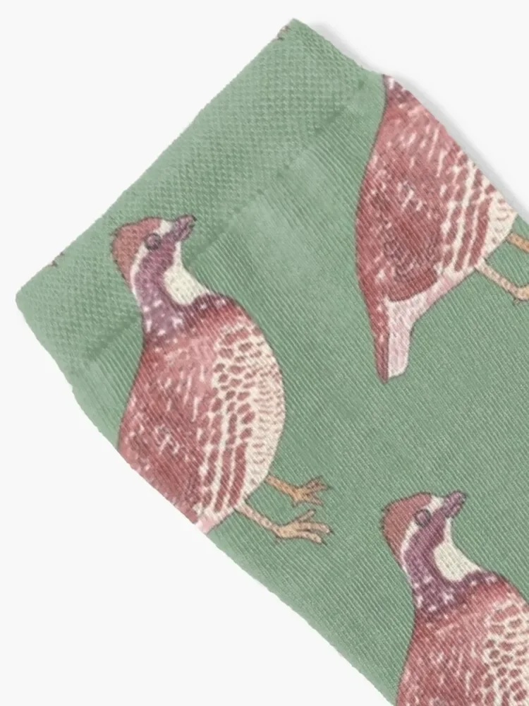 Northern Bobwhite quail bird pattern Socks gift men cotton high quality Sports Children's Socks Men's Women's