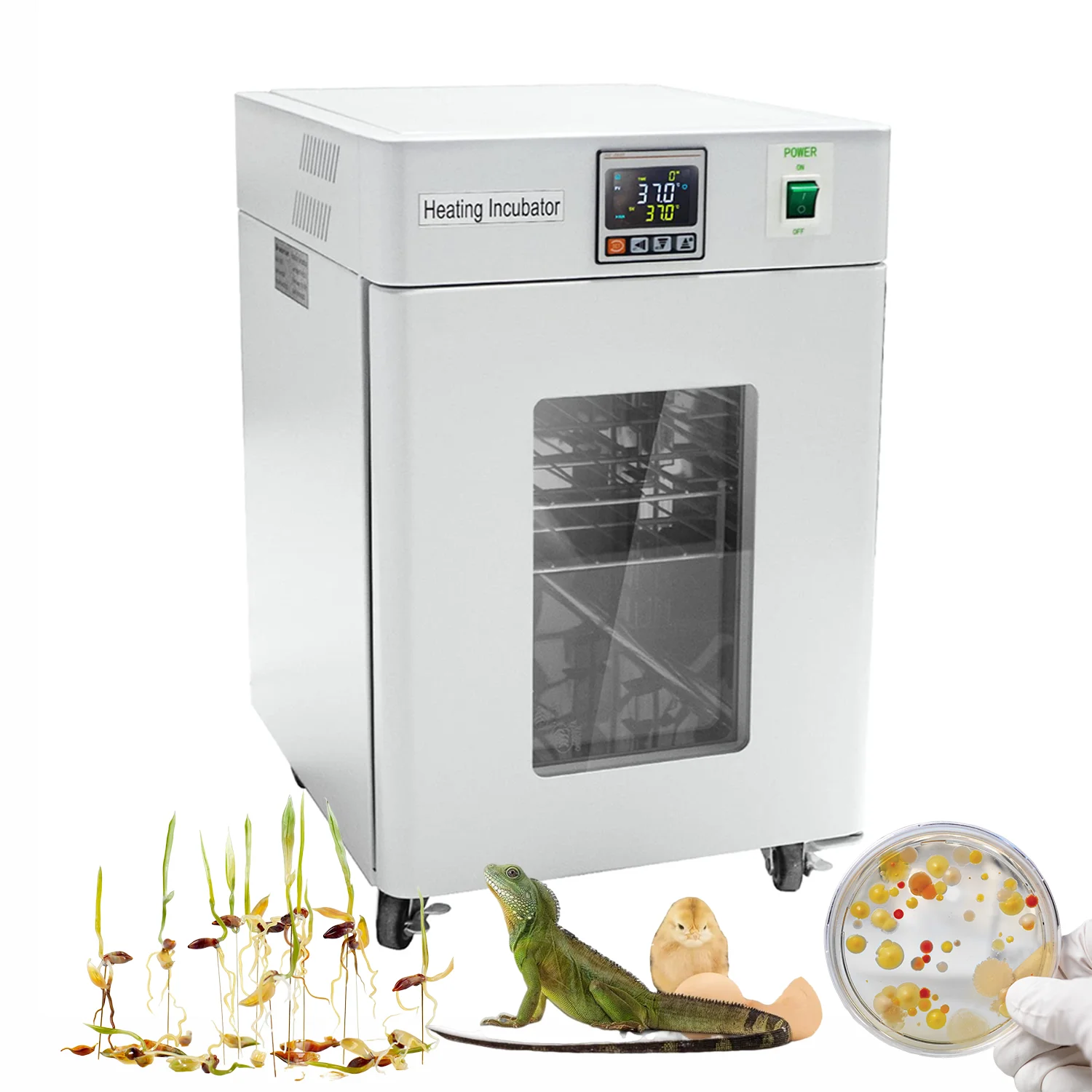 Medical Lab Grade 20L or 270L - Medical Lab Microbiology recension och pris