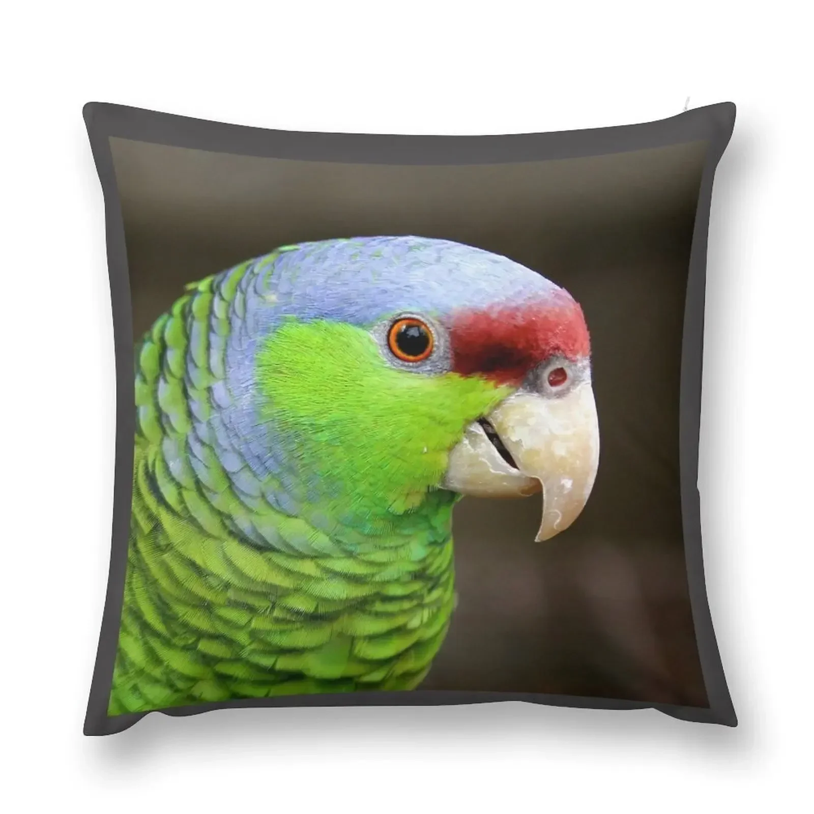

Lilac-crowned Amazon Throw Pillow Cushions For Sofa Decorative Pillow Covers For Sofa Cushion Cover pillow